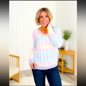 Lovely Melody Pastel V-Neck Sweater NWOT Size Small